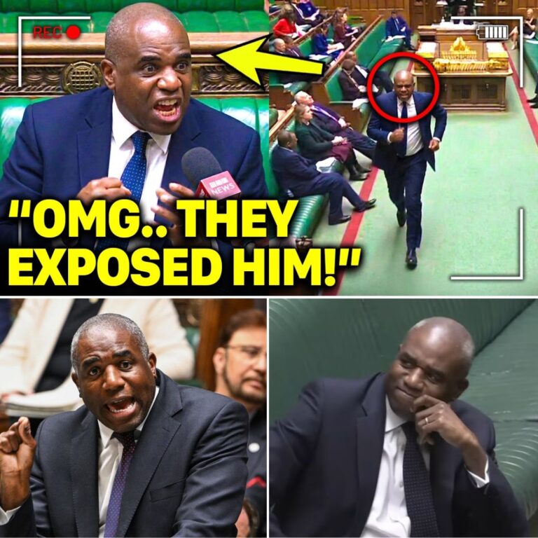 David Lammy ERUPTS in RAGE After Being ROASTED in POWERFUL Speech!