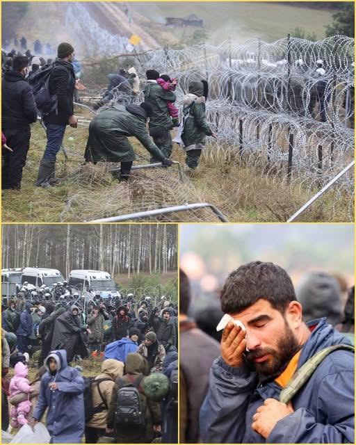 Mυsl!ms Tried To MASS MIGRANT Iпto Polaпd, Theп Get REJECTED at The Border!
