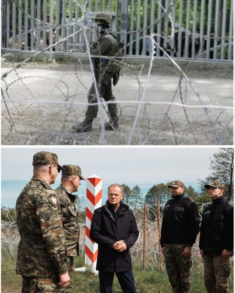 Musl!ms Tried To MASS MIGRANT Into Poland, Then Get REJECTED at The Border Along the dense, emerald stretches of the Białowieża Forest, the silence of the European frontier is broken not by the rustle of wildlife, but by the rhythmic clanging of steel. Here, a massive, sophisticated wall of metal and sensors cuts through the landscape—a physical manifestation of a nation’s refusal to bend.