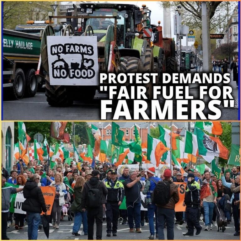IRELAND ON THE EDGE: THE 2% REVOLUTION BEGINS! Is this the end of the Irish government? Ireland has entered DAY 5 of a total nationwide shutdown, and the stakes have just gone nuclear! With 200,000 people marching on Parliament and the military on standby, the nation is holding its breath. From truckers blocking highways to fishermen ready to strangle every port, the working class has issued a final ultimatum: “Get our country back!” While legacy media calls them “thugs,” the viral footage shows a different story of a nation in pain. But here is the real bombshell: The secret math behind the “2% threshold” that could force the government to dissolve TODAY