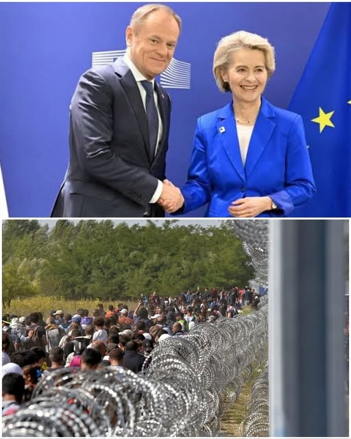 Why Is Poland Refusing to Follow the Rest of Europe? The Debate Over Migration, National Identity, and the Future of the European Union
