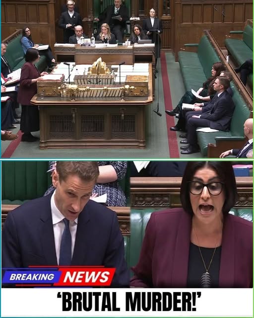 A highly charged session in the House of Commons saw the Home Secretary directly challenged over the government’s decision to cancel the Rwanda deportation scheme, following the brutal murder of a young woman by an undocumented migrant.