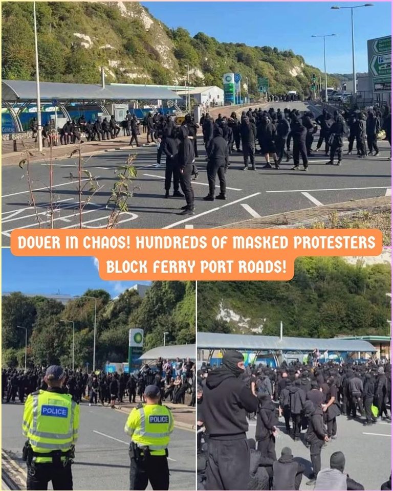 Masked ‘STOP THE BOATS’ protesters bring Dover to standstill as four-mile queues leave hundreds missing ferries