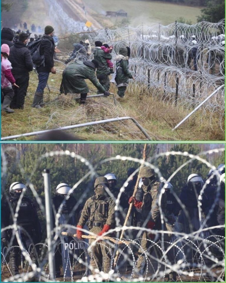 Musl!ms Tried To MASS MIGRANT Into Poland, Then Get REJECTED at The Border