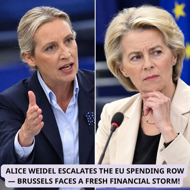 In a fiery challenge to the current European political order, Alternative for Germany (AfD) leader Alice Weidel delivered a scathing attack on the European Union and its financial structures, directly targeting EU Commission President Ursula von der Leyen and calling the system a “scam” that exploits German taxpayers