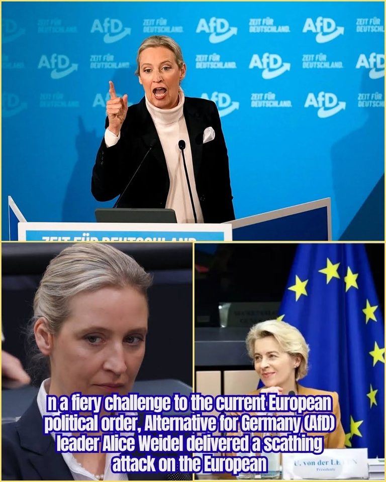 In a fiery challenge to the current European political order, Alternative for Germany (AfD) leader Alice Weidel delivered a scathing attack on the European Union and its financial structures, directly targeting EU Commission President Ursula von der Leyen and calling the system a “scam” that exploits German taxpayers – Trends Celebrity 24h
